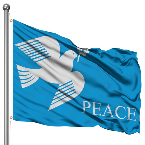 Friendship Flag World Symbol