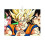 Dish Drying Mat Dragon Ball Z Microfiber 18x24 Inch 1