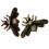 Bee-shaped brass wardrobe knob 1 piece 3
