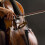 Cello Bow Horsetail Hair Balanced Beginner 4/4 5