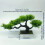 Artificial bonsai plant small potted decoration 1