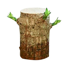School Supplies Decoration Brazilian Wood Handmade 1 Piece