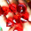 Acrylic Crystal Toy Gems 100 pcs 2