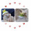 Hand-Knitted Rainbow Carrot Hamster Hat 1pc 1