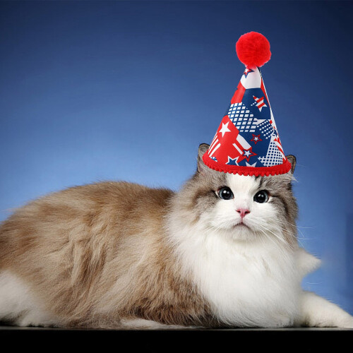 Pet Flag Hat with Sequin Bow Tie and Triangle Scarf