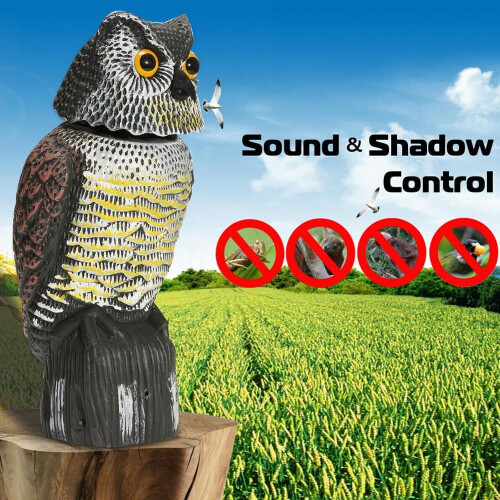 Garden owl sculpture battery powered with motion detection 2