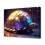 Metallic Tortoise Canvas Poster 16x24 inch 1