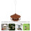 Wild Bird Feeder Hanging Garden Decor Brown 5
