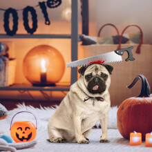 Pet headdress for dogs and cats axe saw design 1 piece
