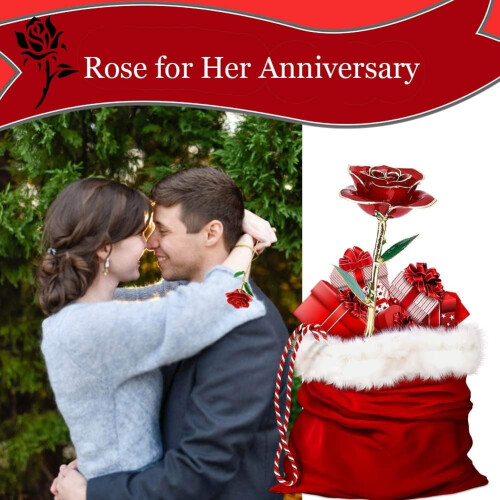 Real Rose Gold-Dipped 24K Long Stem Red Rose in Gift Box 2