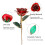 Real Rose Gold-Dipped 24K Long Stem Red Rose in Gift Box 5
