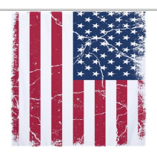 Independence Day shower curtain 71 x 71 inch
