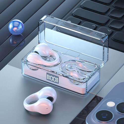 Bluetooth 5.3 Wireless Earbuds with Charging Case