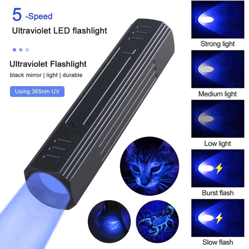 UV Black Light Flashlight for Bed Bug Detection on Carpets 1