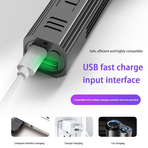 UV Black Light Flashlight for Bed Bug Detection on Carpets 2