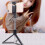 Desktop Tripod for Phone Hands-free Viewing 6
