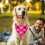 Dog Bandana Triangle Reversible Adjustable 1 Piece 4