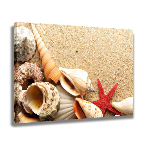 Ocean Beach Shells Canvas Poster 16x24 inch 1
