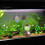 Aquarium Plastic Dinosaur in Egg Decoration 1pc 3
