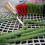 Rug Hooking Mesh Canvas with Wooden Bent Latch Hook Kit 8
