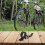 Bicycle Seatpost Clips Quick Release Saddle Clamp Set 5