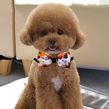 Pet Bow Tie for Dogs and Cats - Festive Pumpkin Bat Design