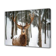 Deer Stand on Snowfield Canvas Poster 16x24 inch
