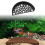 Aquarium Resting Area Ornamental Accessory Set 1
