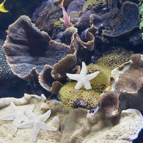 Artificial Coral Ornament for Fish Tank Home Decor 2pcs 2