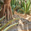 Gaspro decorative fish tank stones 8 lb 4