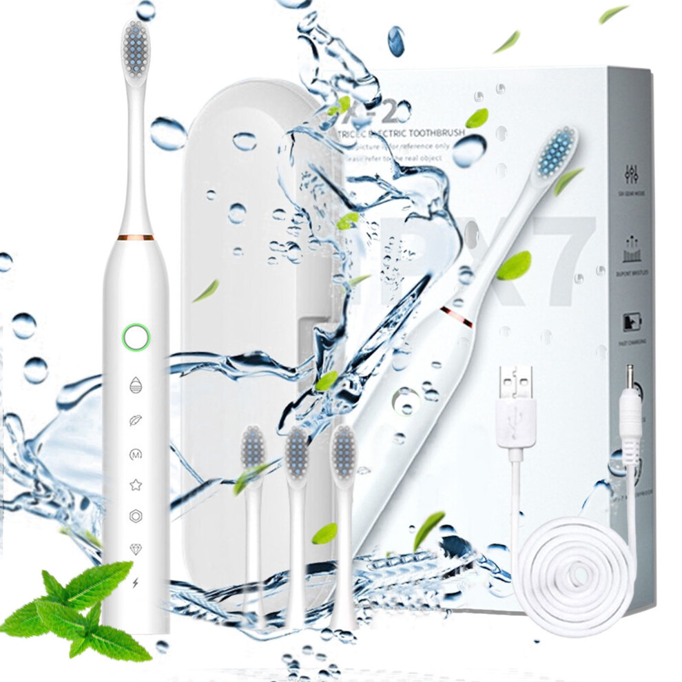 Karymi Electric Toothbrush with 4 Brush Heads and 6 Modes