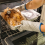 Resistance Nylon-Blend Slow Cooker Liners 200 pcs 6