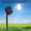 Solar Garden String Light Ball Decor 30 LED 21ft 8