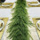 Christmas Norfolk Garland Artificial 9.84 ft 5