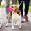 Dog Muzzle Soft Breathable Nylon Adjustable Hot Pink L 2