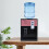 Top-Loading Water Cooler for 5-Gallon Bottles, 3-Temp 6