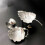 Frog-Shaped Reusable Tea Infuser for Loose Leaf Tea 5