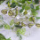 Artificial Vine Garland Greenery Wall Decor 6ft 4