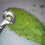 Spoon Cactus Peeler Multifunctional Kitchen Tool 4