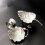 Frog-shaped reusable tea infuser for loose leaf tea 5