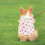Pet vest made of polyester material 1 piece 5