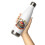 Apple Pie Stainless Steel Water Bottle White 5