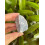 Angelite raw natural stone 1-2 inch rough 8