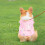 Pet vest for dogs and cats adjustable size 4