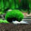 Artificial Moss Balls for Aquarium 3 pcs 1.2 inch 7