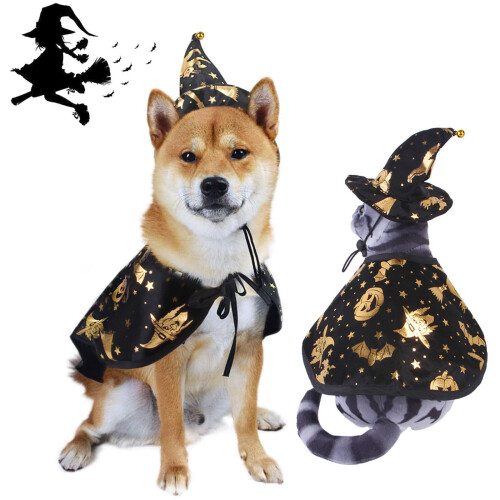Pet Witch Hat and Cloak Set Black Gold Adjustable 2
