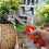 Stainless Steel Garden Pruning Shears 1 Pair 5