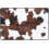 Cowhide Print Memory Foam Bath Rug 15.7 x 23.5 Inch 7