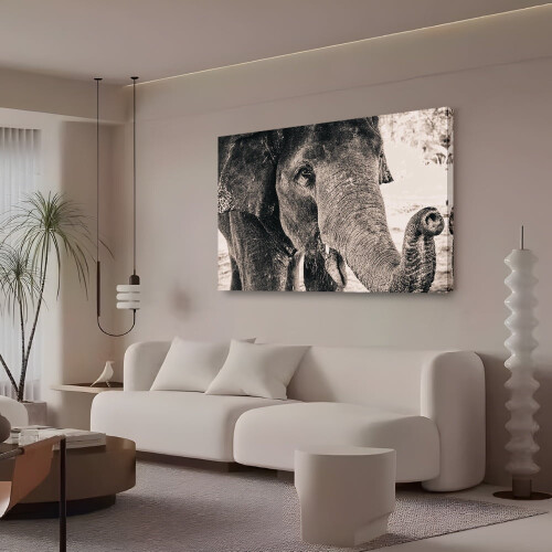 Black and White Elephant Head Canvas Poster 20x30cm 2