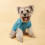 Pet Clothes Spring Summer Breathable Comfortable Cat Dog 4
